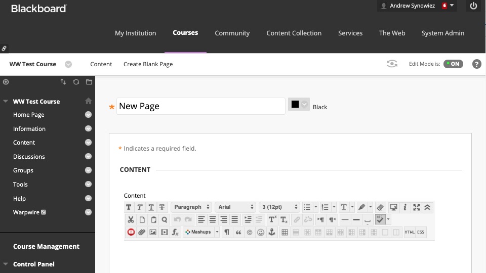 Blackboard New Page interface with text editor opened