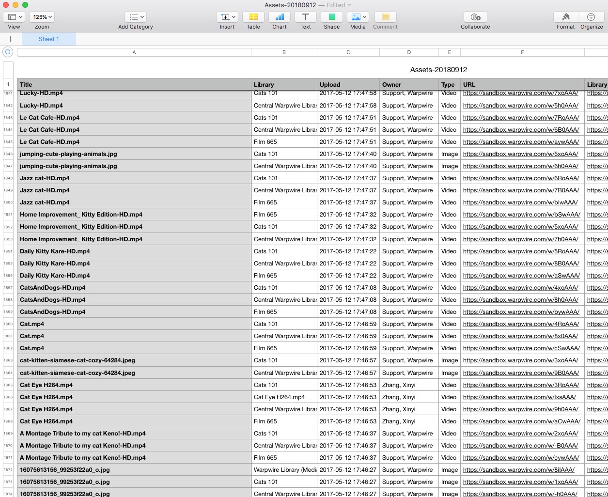 downloaded spreadsheet of information about all assets