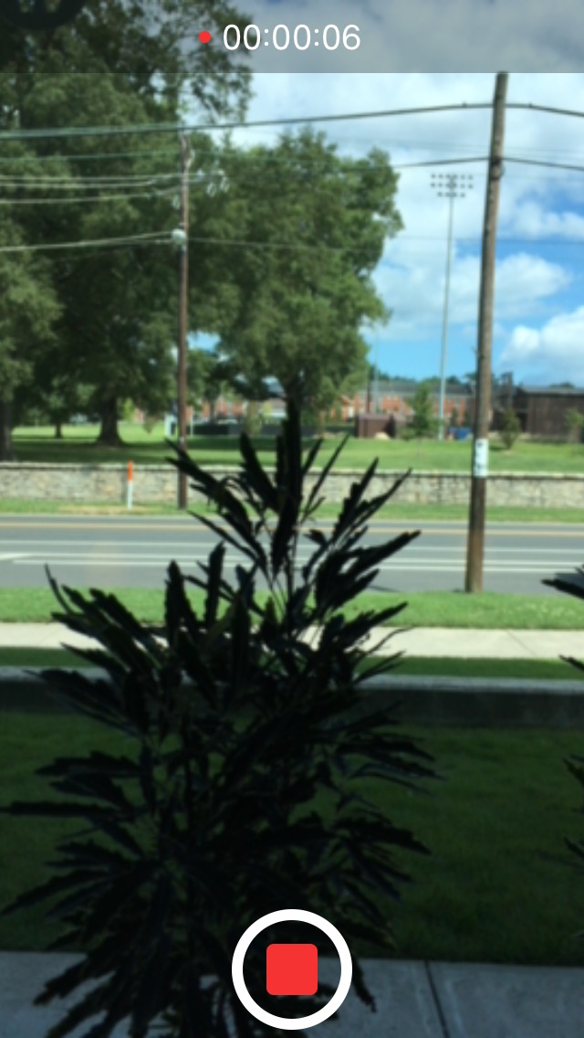 iPhone camera recording video of plant in a window on a sunny day