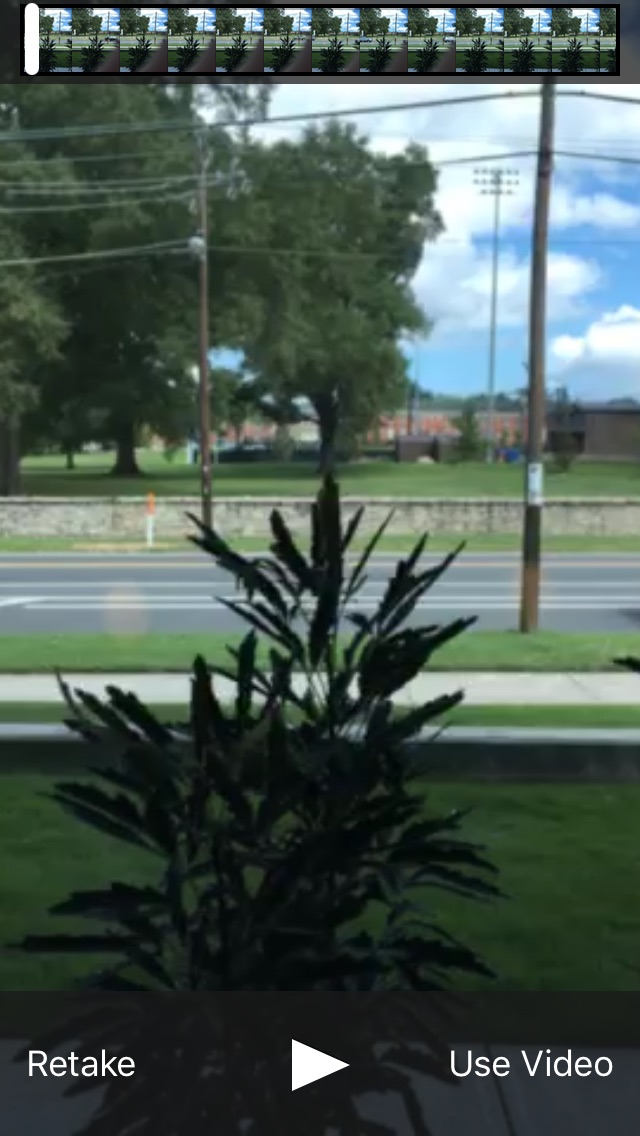 iPhone preview of recorded video, a plant in the window on a sunny day