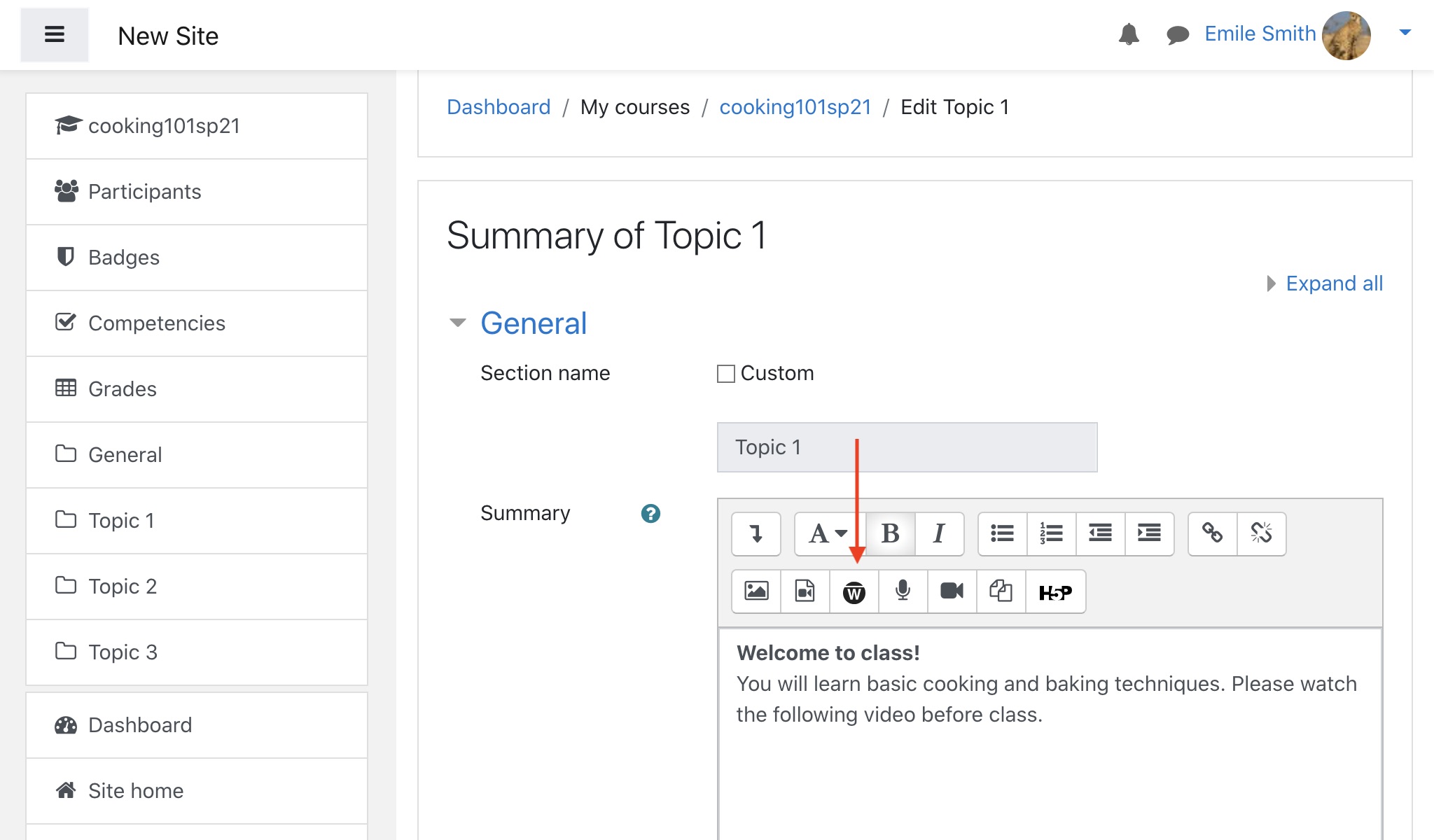 Moodle forum post text editor