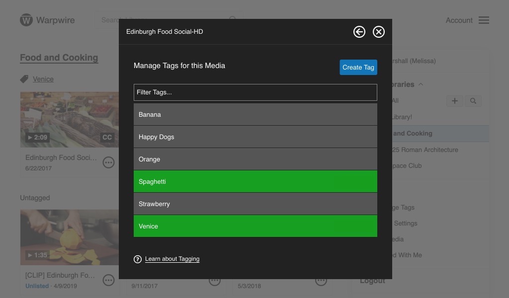 List of tags for a single asset within the Warpwire media library, highlighted in green