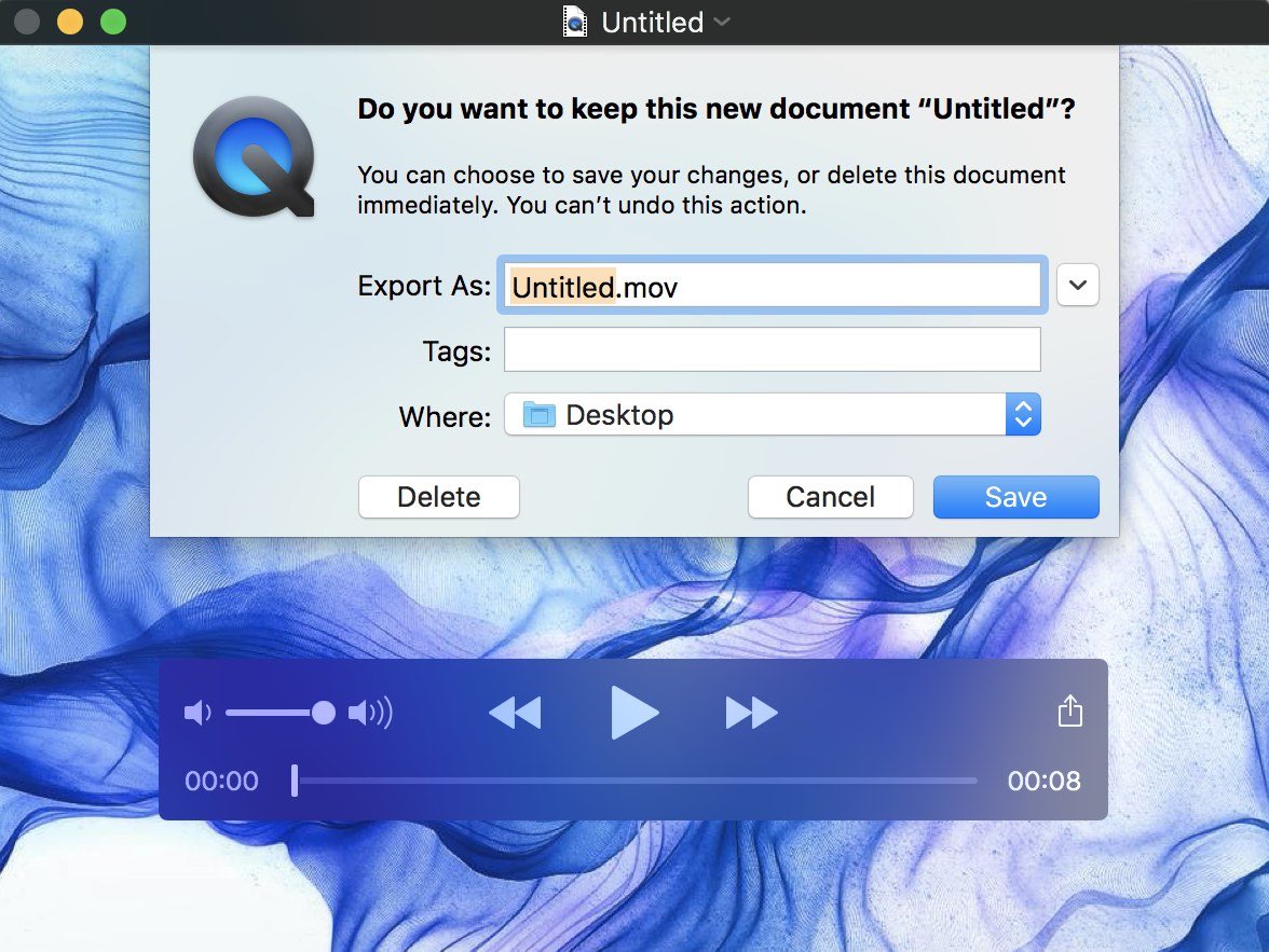 Quicktime save file interface